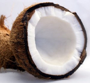 coconut-1125 (2)