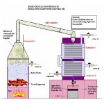 Essential Oils Distillation